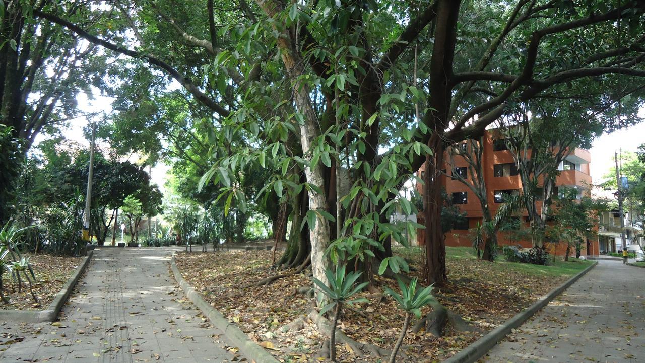 Iris Hostel Medellín Dış mekan fotoğraf